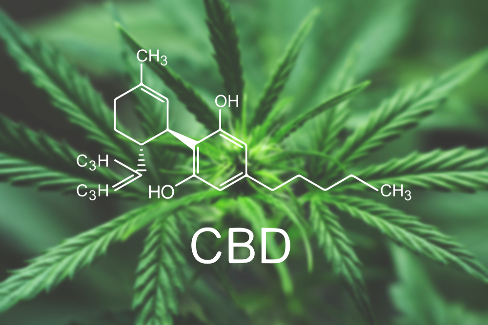 CBD-canabidiol