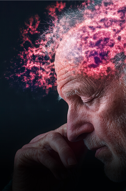 wecann learning assets159