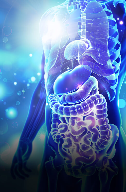 wecann learning assets162