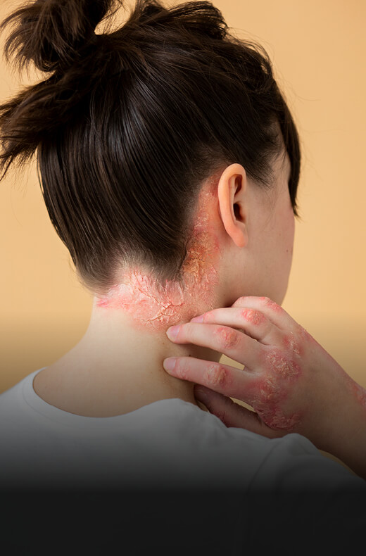 wecann learning assets188