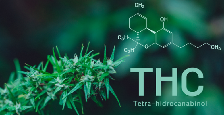 atributos medicinais do THC