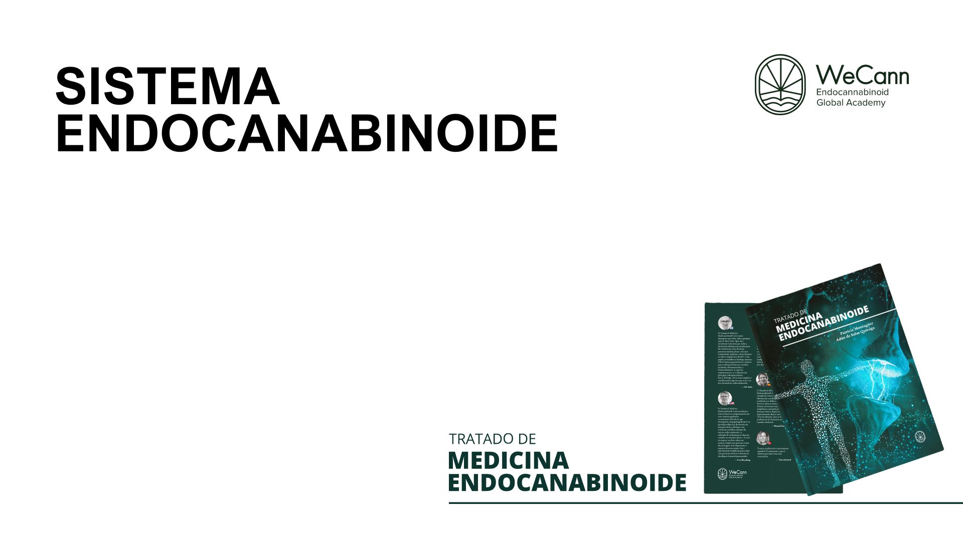 Sistema Endocanabinoide