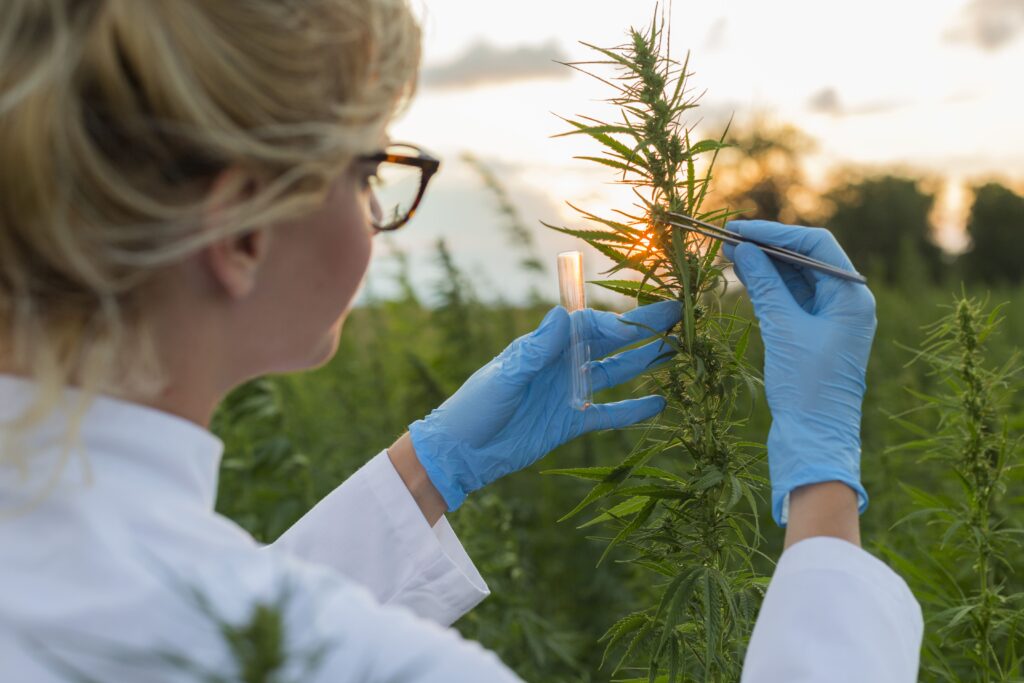 Medicina Personalizada no Tratamento com Cannabis