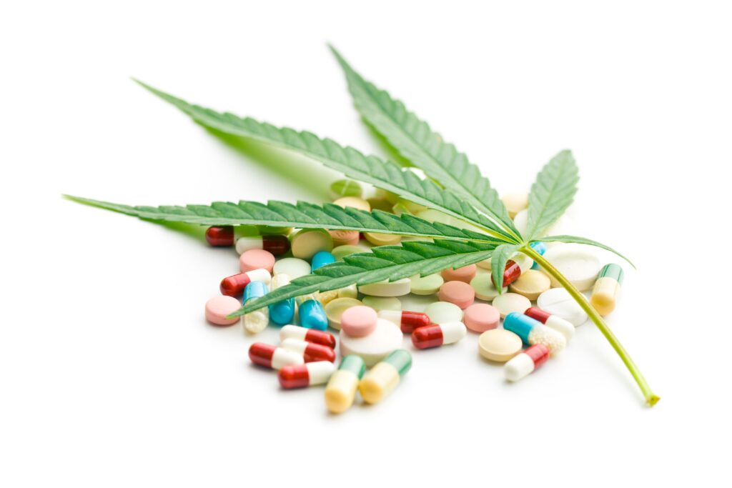 Legislação Internacional da Cannabis Medicinal