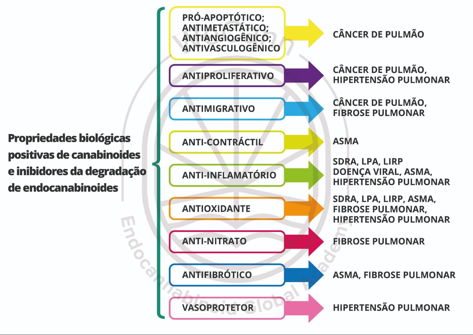 As propriedades biológicas e os mecanismos de ação sugeridos de derivados canabinoides e inibidores de degradação de endocanabinoides em vários modelos de doenças respiratórias. Abreviações: SDRA, síndrome do desconforto respiratório agudo; LPA, lesão pulmonar aguda; LIRP, lesão de isquemia-reperfusão pulmonar. Fonte: MONTAGNER, Patrícia; DE SALAS-QUIROGA, Adán. Tratado de Medicina Endocanabinoide.1. ed. WeCann Endocannabinoid Global Academy, 2023.