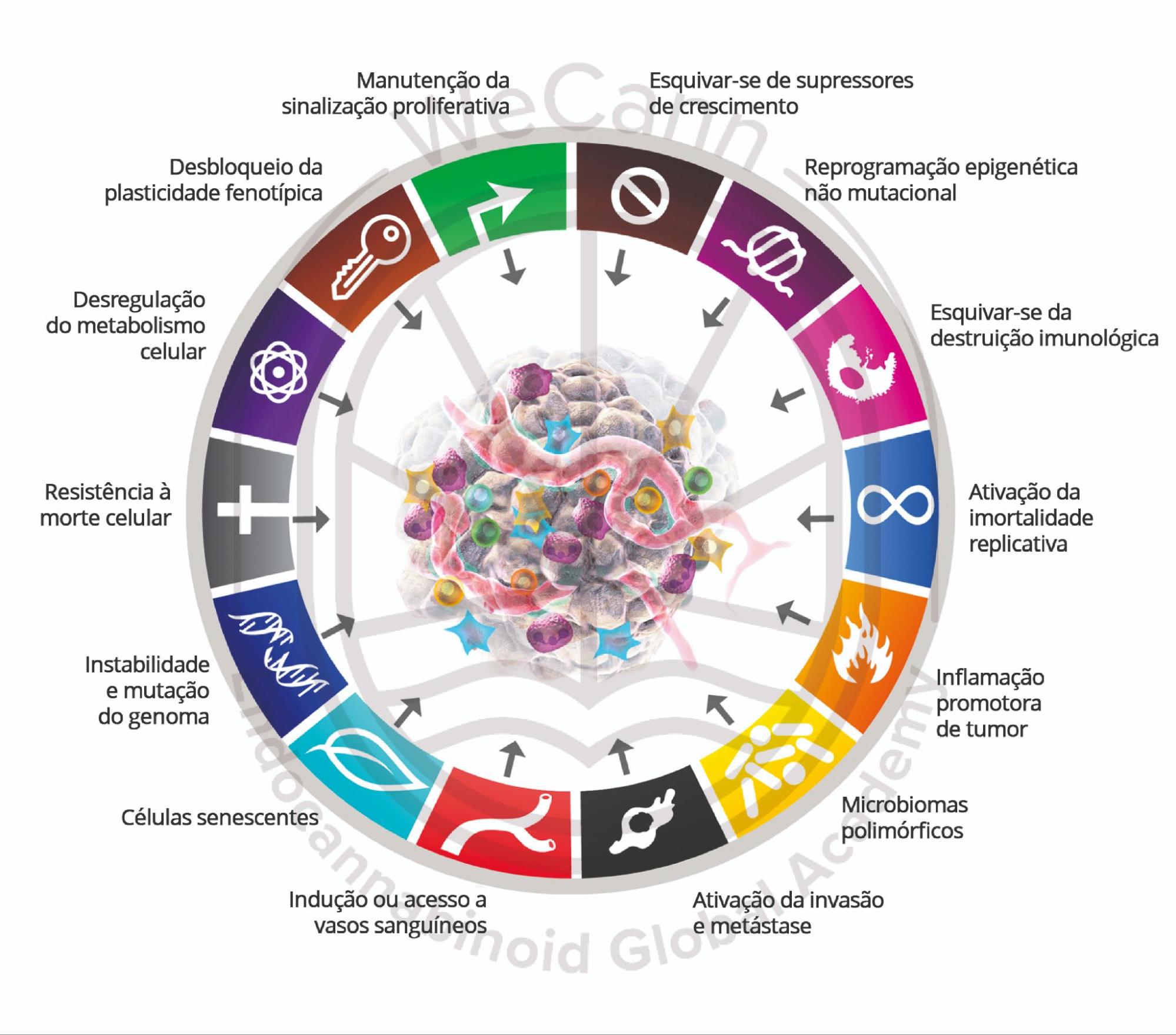 Versão atualizada das características do câncer de Douglas Hanahan, representando os principais mecanismos fisiopatológicos utilizados pelas células cancerígenas para escapar dos mecanismos homeostáticos e promover a progressāo da doença. Note que, dadas as ações pleiotrópicas e pró- homeostáticas do SEC, os medicamentos à base de cannabis podem ter impacto na maioria dessas características, prejudicando a fisiopatologia do câncer e exercendo potenciais efeitos terapêuticos, especialmente em combinação com outras terapêuticas disponíveis. Fonte: MONTAGNER, Patrícia; DE SALAS-QUIROGA, Adán. Tratado de Medicina Endocanabinoide.1. ed. WeCann Endocannabinoid Global Academy, 2023.
