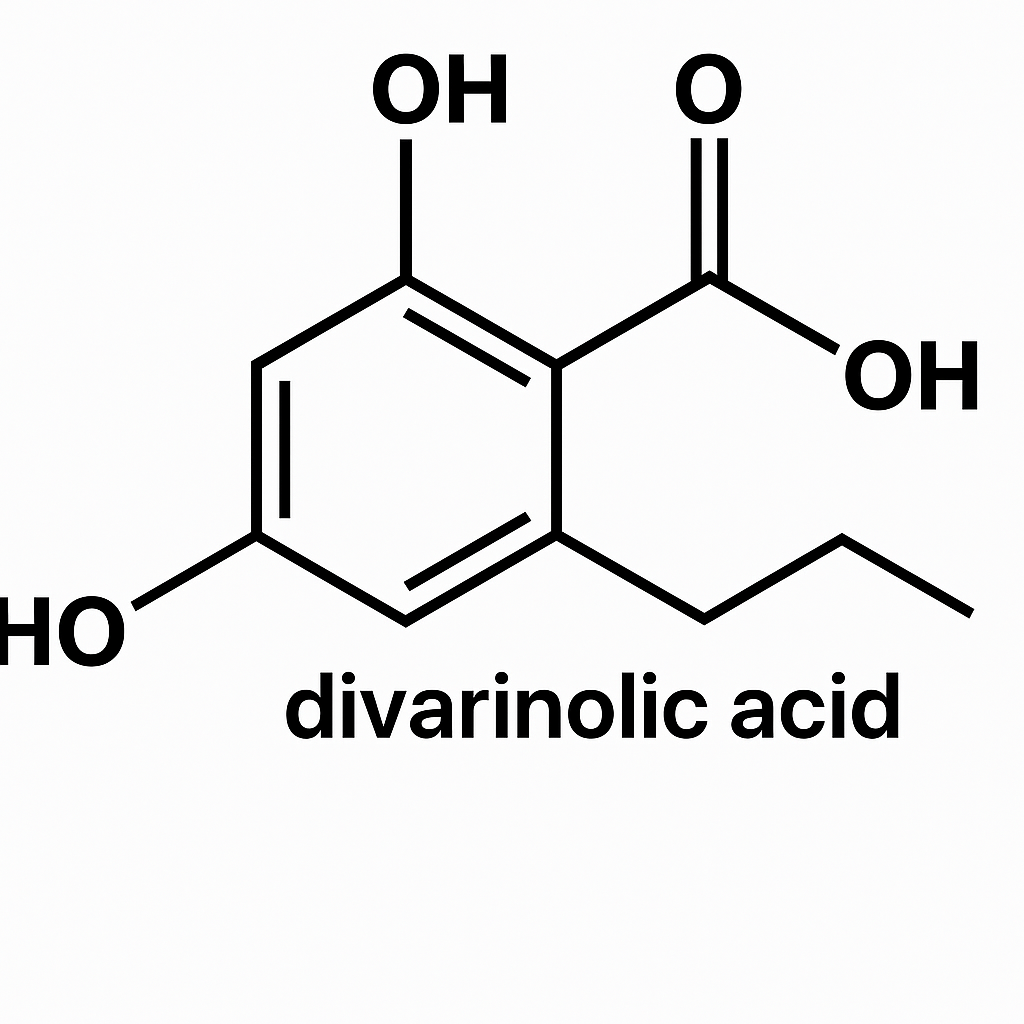 Estrutura química do ácido divarinólico