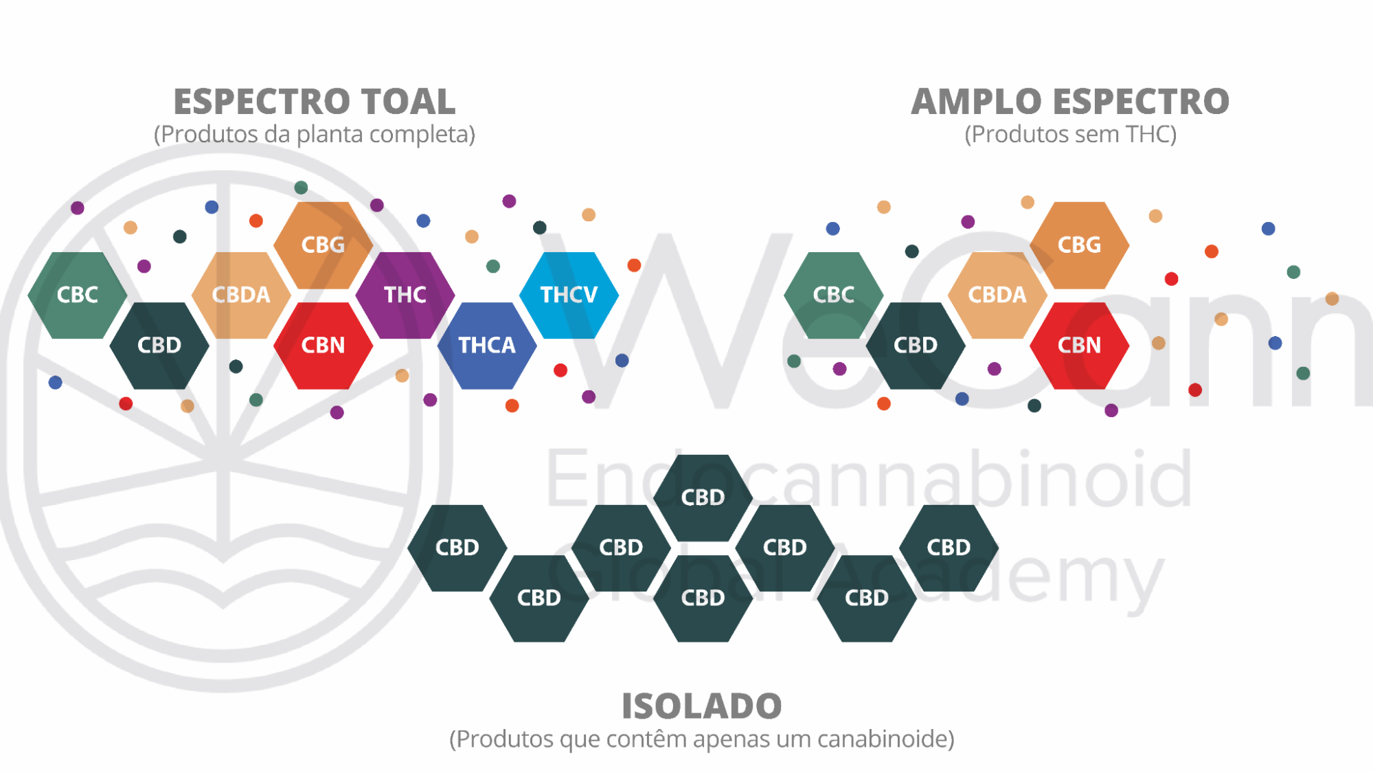 A compreensão da diferença entre esses tipos de extratos é crucial para personalizar o tratamento, otimizando os resultados terapêuticos e minimizando os riscos para o paciente.