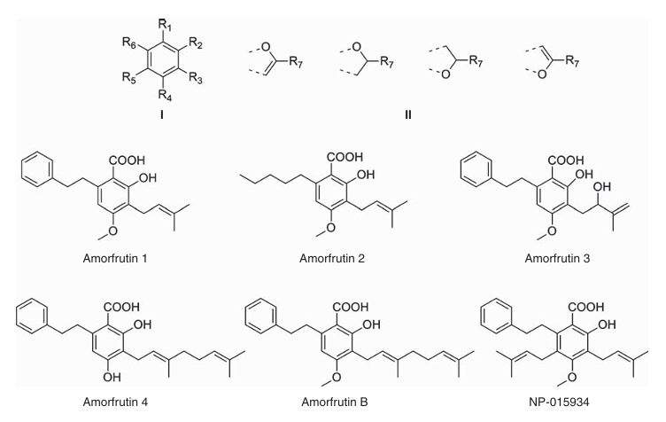 Estruturas das amorfrutinas. Sauer S. Amorfrutins: A promising class of natural products that are beneficial to health. Chembiochem. 2014 Jun 16;15(9):1231-8. doi: 10.1002/cbic.201402124. Epub 2014 Jun 4. PMID: 24899548.