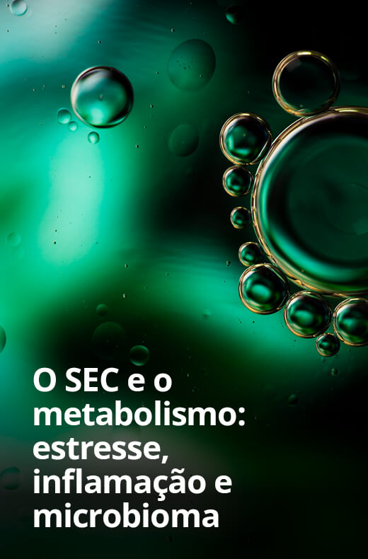 cert card 05