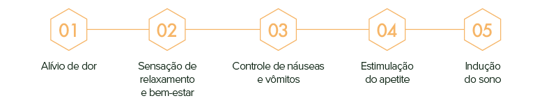 Cannabis como adjuvante terapêutico no paciente com câncer 4 CR17 CR04 imagem04