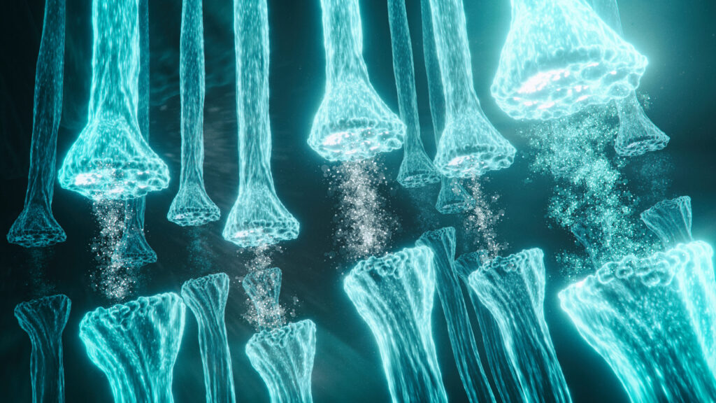 Copia de iStock 1086373124 scaled 1