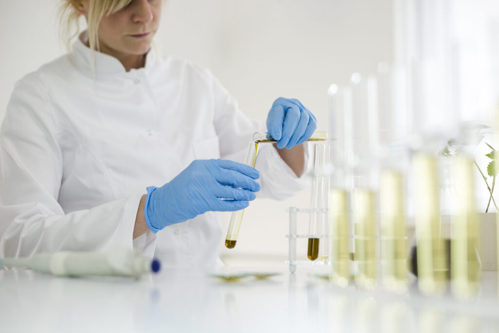 Melhoramento genético do cânhamo para aumentar a produção de CBD