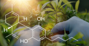 Copia de iStock 1214660475 scaled 1