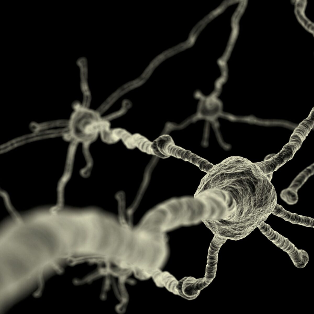 Copia de iStock 157193776 1 scaled 1