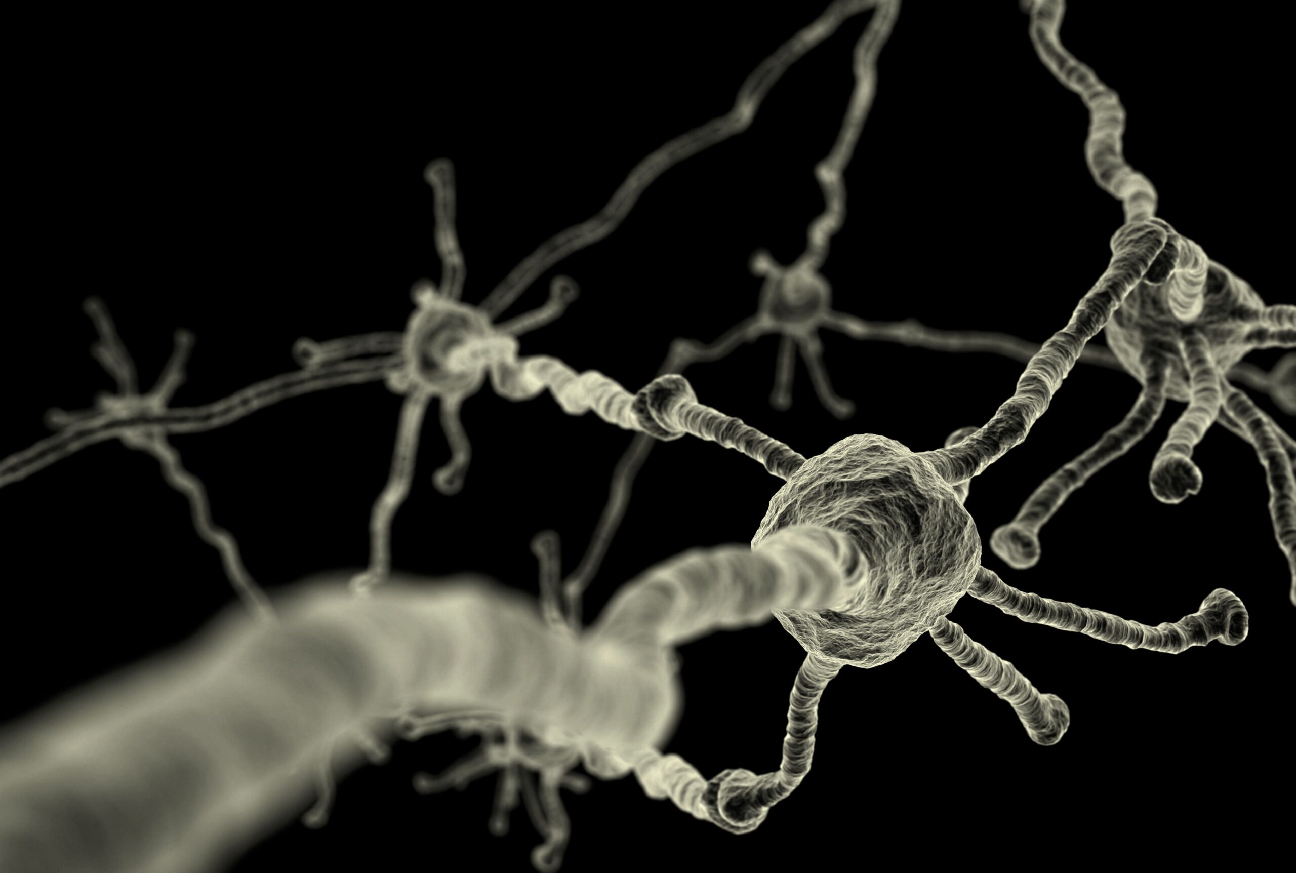 Efeitos da Cannabis na Excitabilidade Cerebral