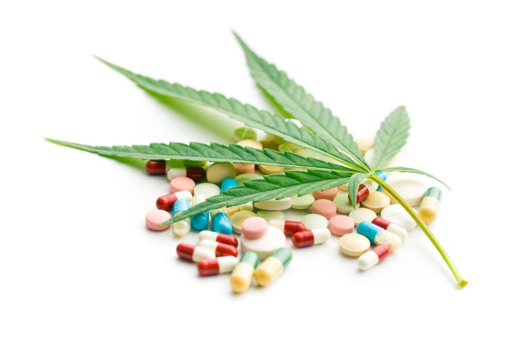 Legislação Internacional da Cannabis Medicinal