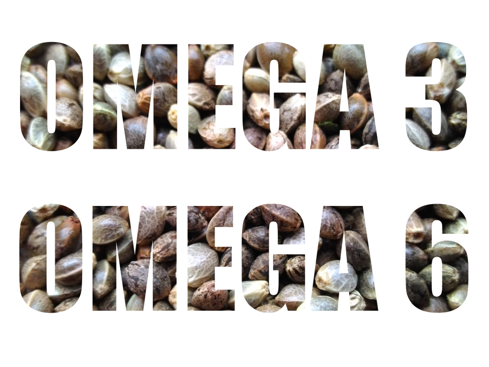 Ômega 3 e o Sistema Endocanabinoide: entenda a sinergia dessa interação 1 ômega 3 sistema endocanabinoide