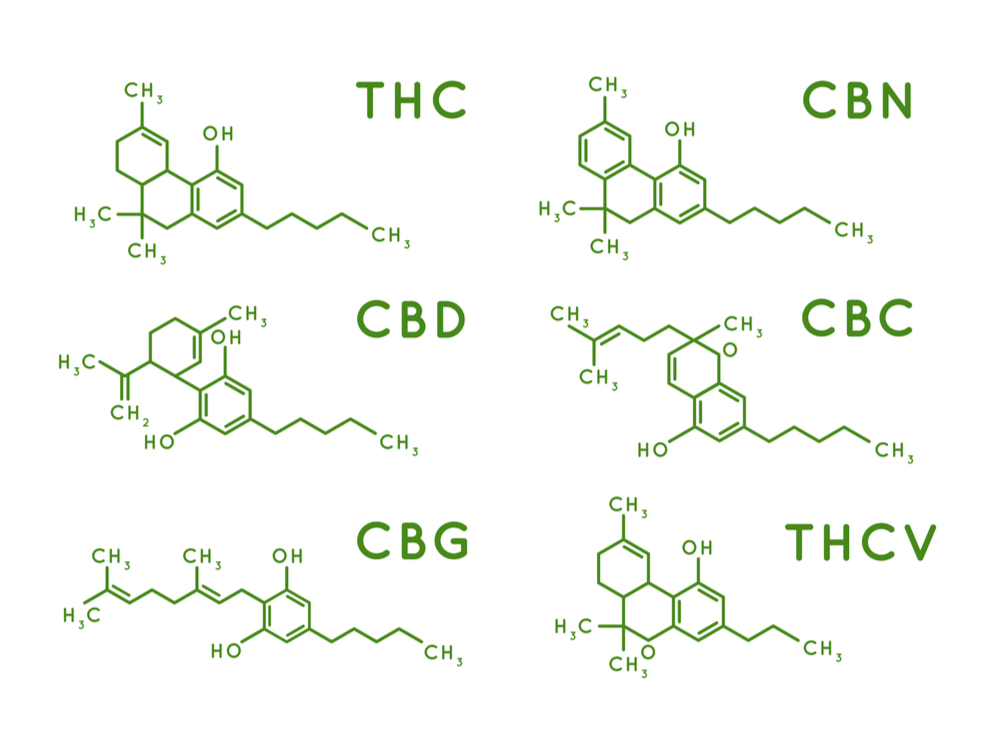 canabinoides