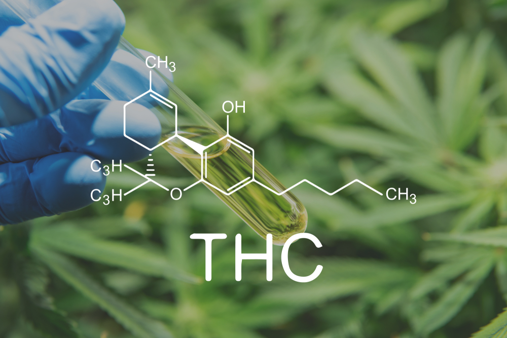 Conheça os atributos medicinais do THC e suas propriedades terapêuticas 1 atributos medicinais do THC