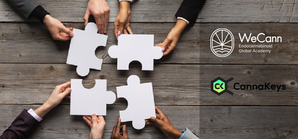 WeCann e CannaKeys anunciam parceria para fomentar educação em Medicina Endocanabinoide