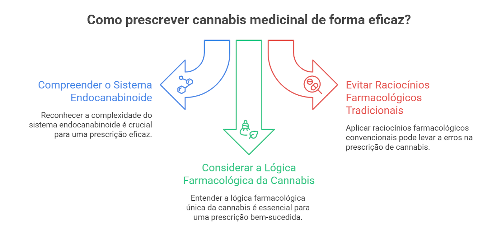 image 3 e1775637555573